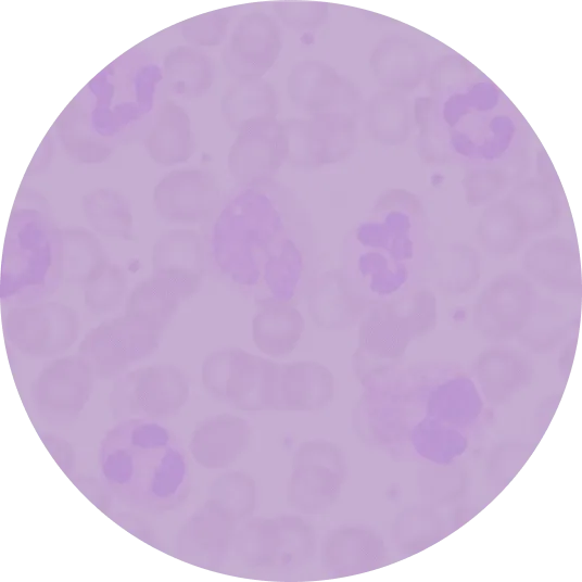 Urinox10 Multiparameter Urine Test Strips Diagnox